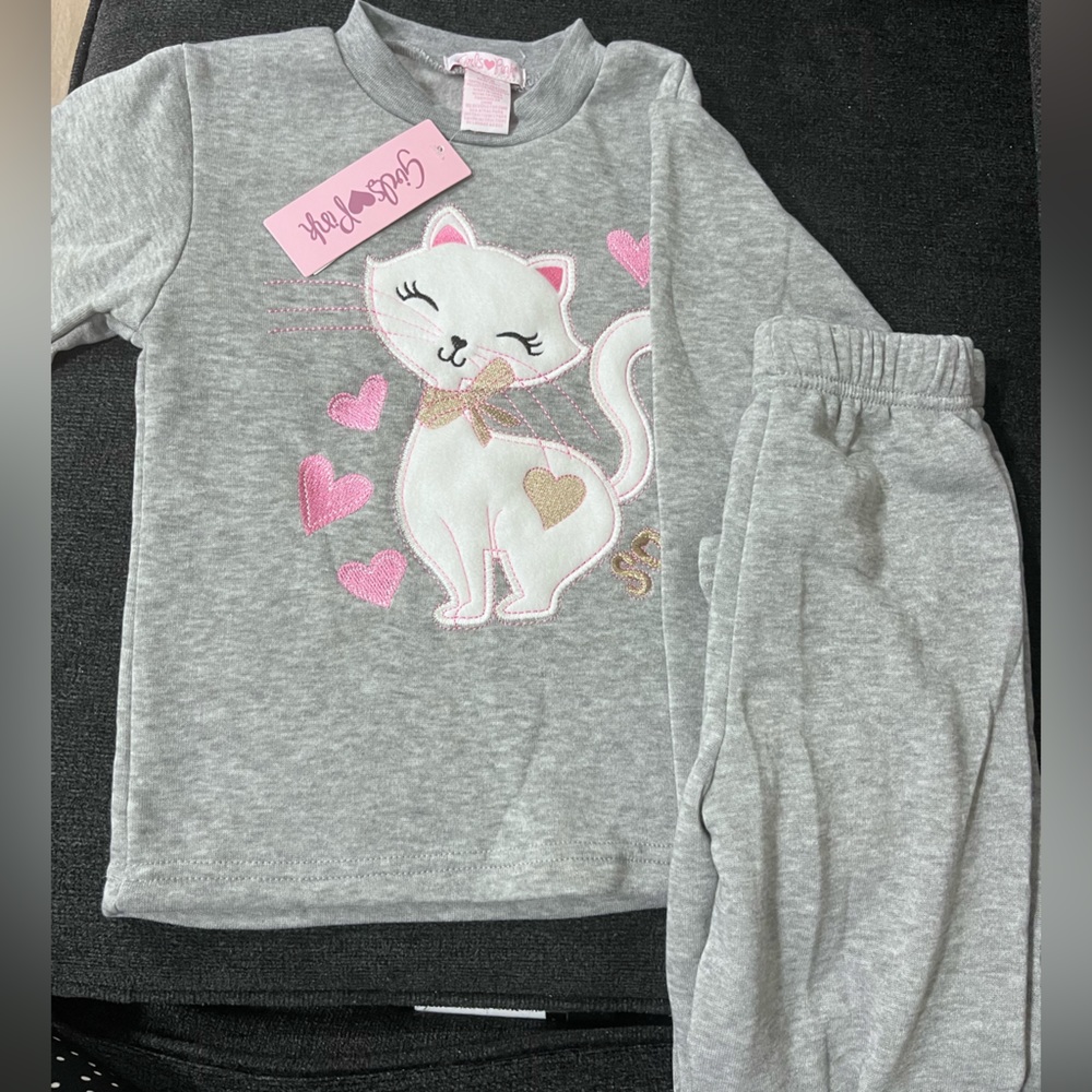 New with tags Sweatshirt and Pants Set